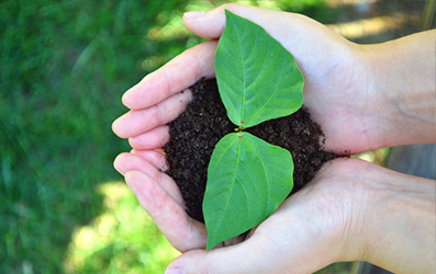 必发7790(中国区)电子集团-线上平台登录入口